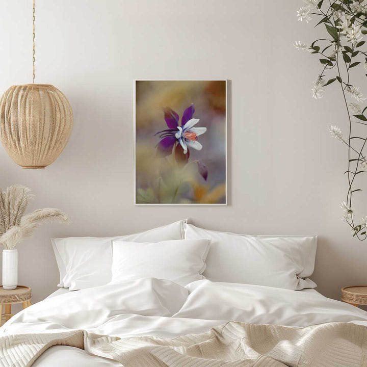 Delicate Purple Bloom - Floral Photographic Stretched Canvas Poster or Fine Art Print