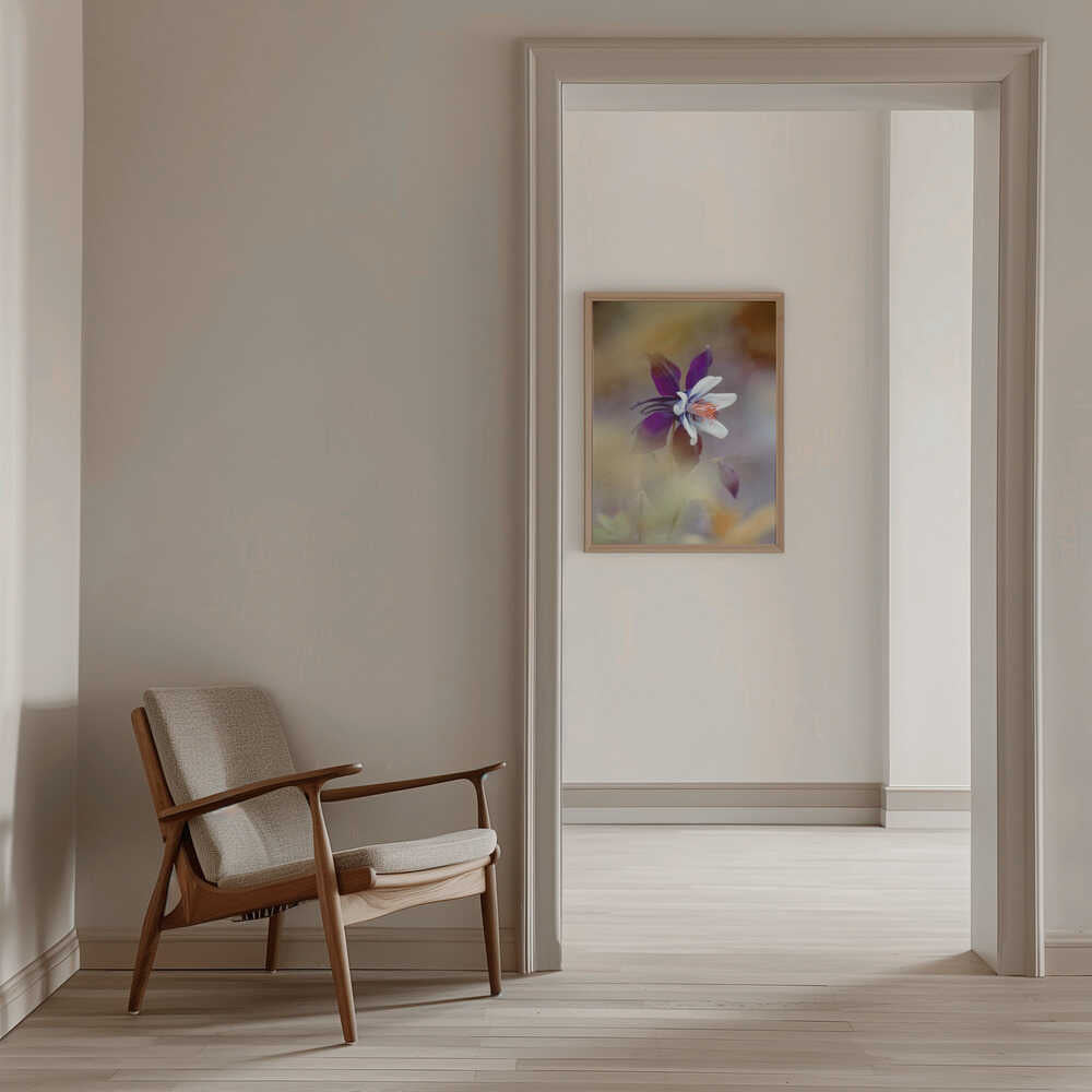 Delicate Purple Bloom - Floral Photographic Stretched Canvas Poster or Fine Art Print