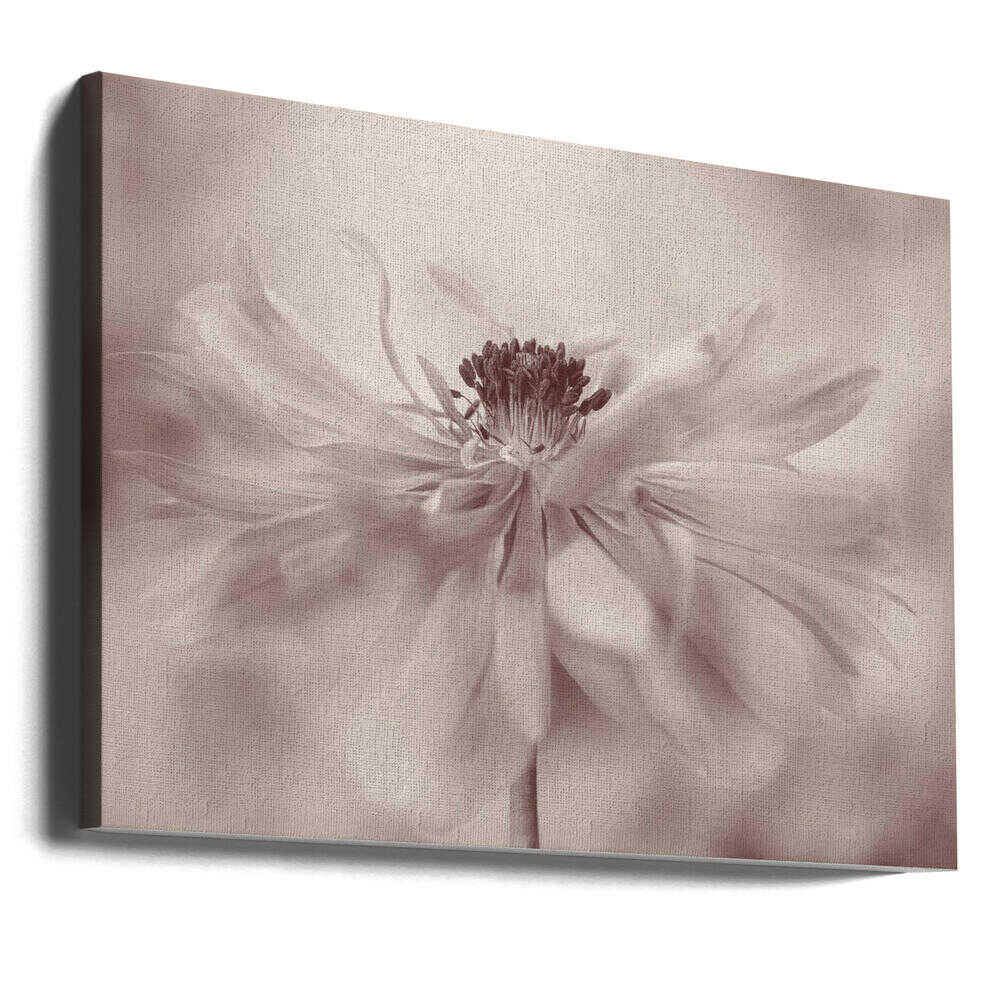 Delicate Sepia Flower - Floral Photographic Stretched Canvas Poster or Fine Art Print