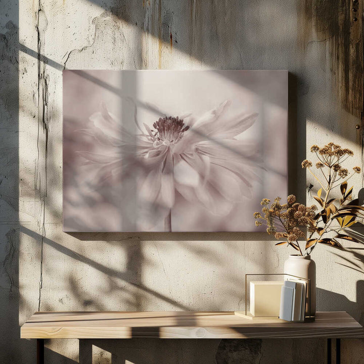 Delicate Sepia Flower - Floral Photographic Stretched Canvas Poster or Fine Art Print
