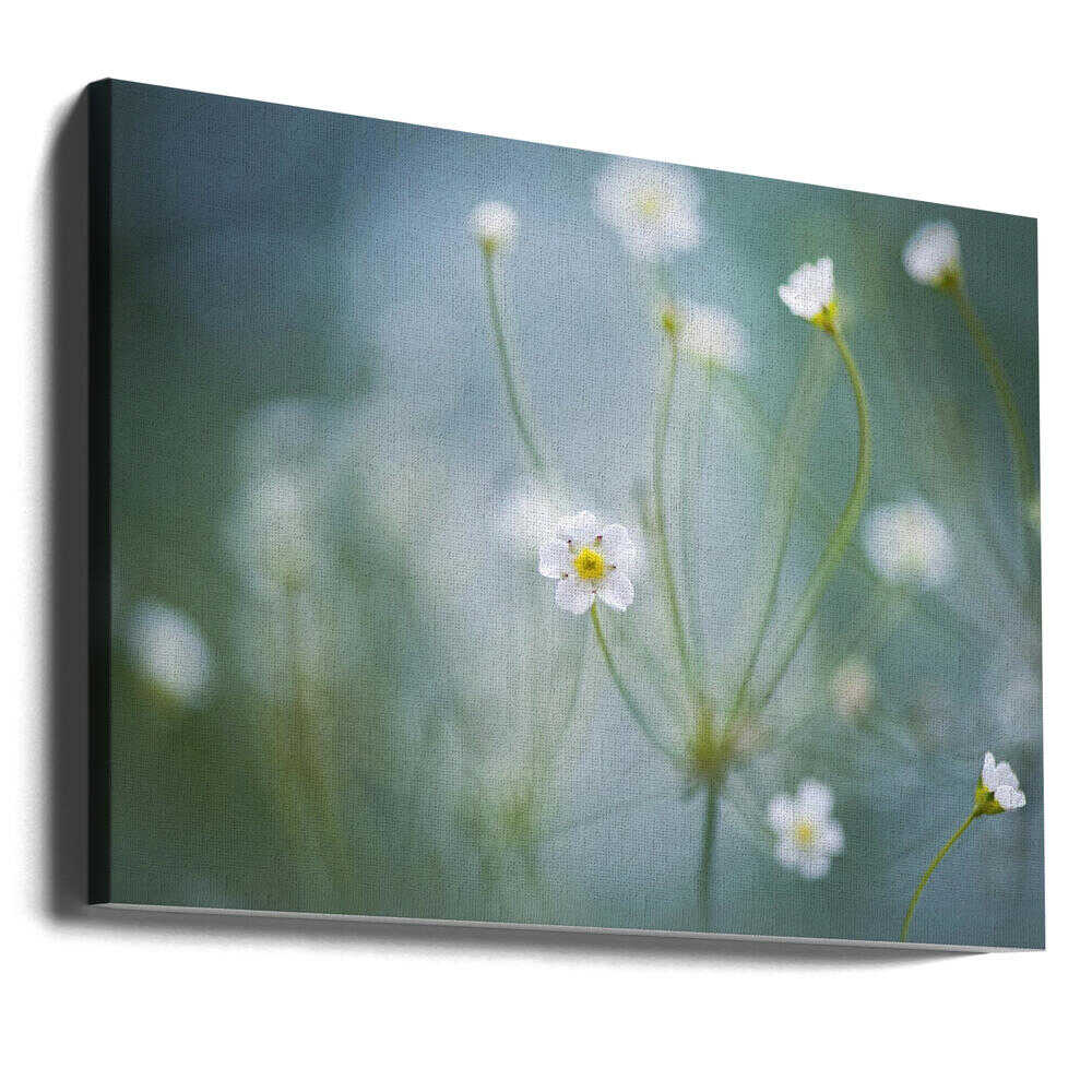 Delicate Spring Blooms - Floral Photographic Stretched Canvas Poster or Fine Art Print
