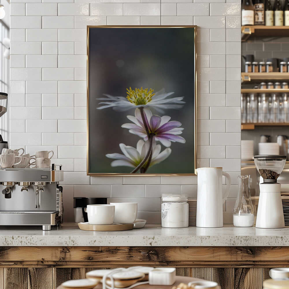 Delicate Spring Flowers - Floral Photographic Stretched Canvas Poster or Fine Art Print