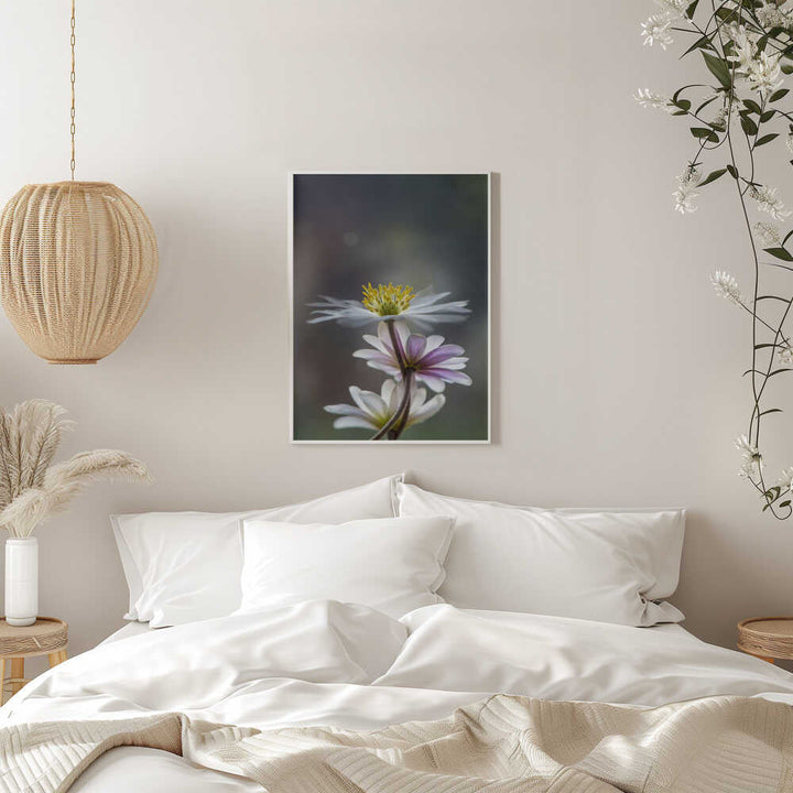Delicate Spring Flowers - Floral Photographic Stretched Canvas Poster or Fine Art Print