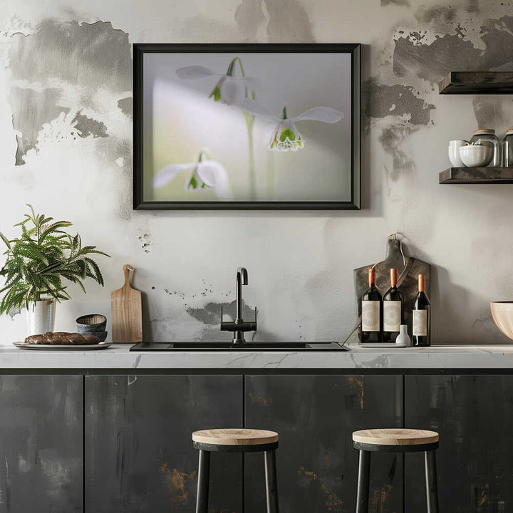 Delicate Spring Snowdrops - Floral Photographic Stretched Canvas Poster or Fine Art Print