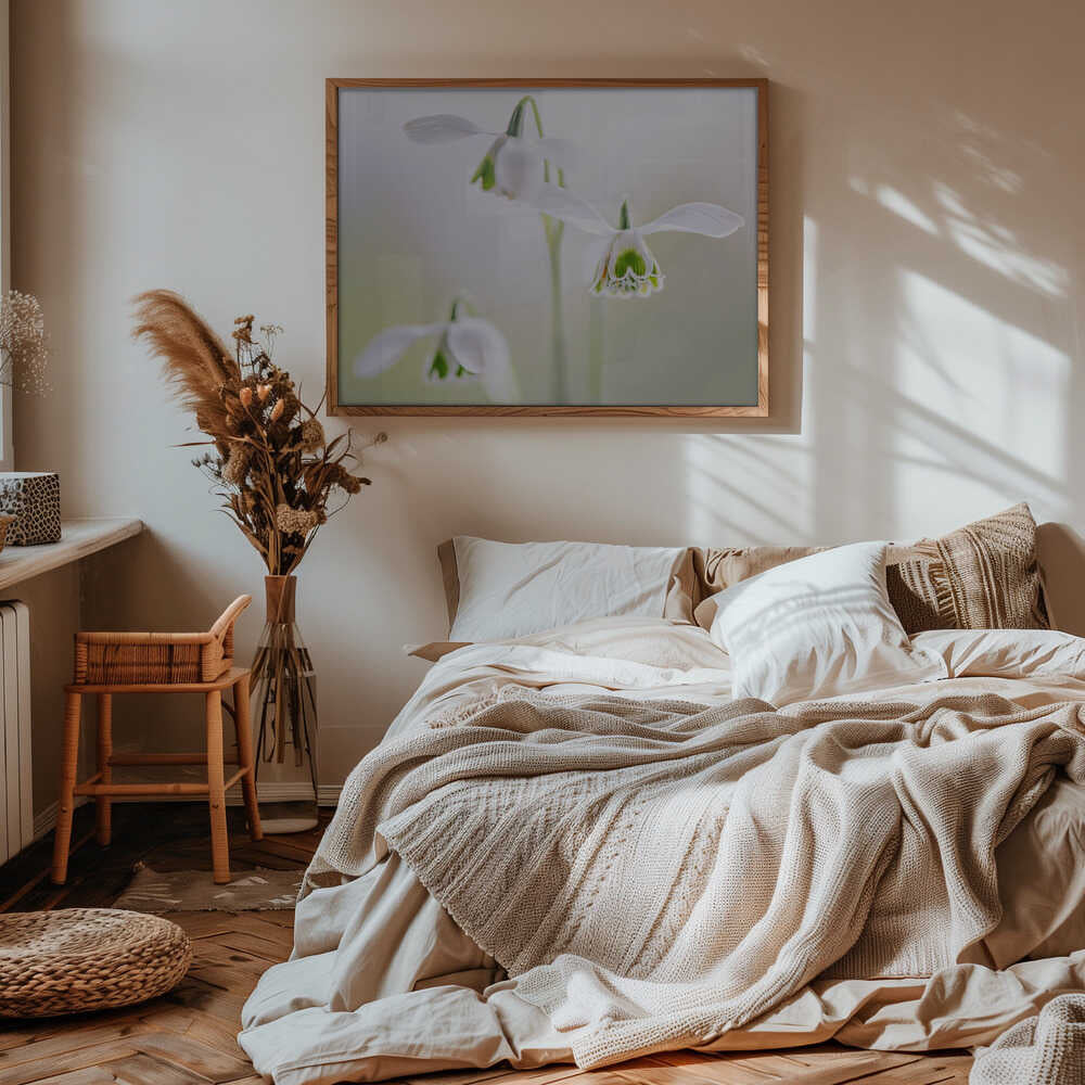 Delicate Spring Snowdrops - Floral Photographic Stretched Canvas Poster or Fine Art Print