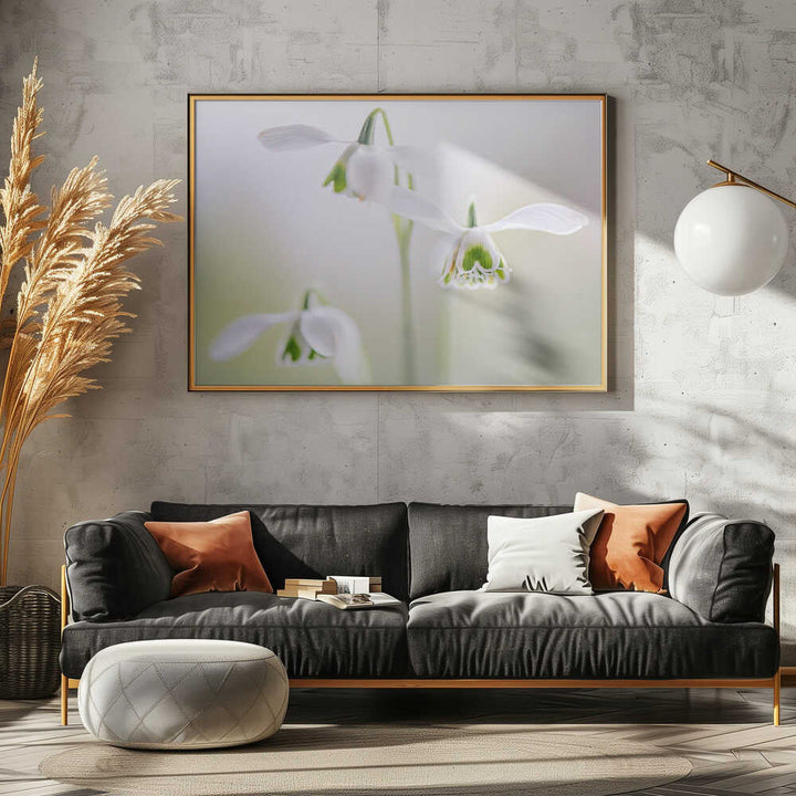 Delicate Spring Snowdrops - Floral Photographic Stretched Canvas Poster or Fine Art Print