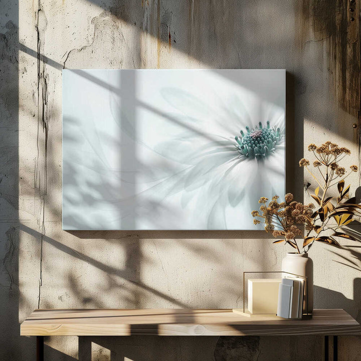 Delicate Teal Daisy - Floral Photographic Stretched Canvas Poster or Fine Art Print