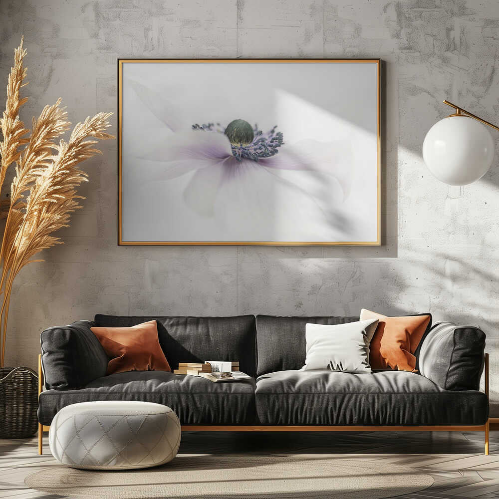 Delicate White Anemone - Floral Photographic Stretched Canvas Poster or Fine Art Print