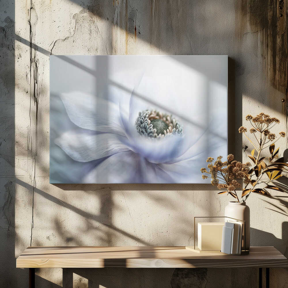 Delicate White Bloom - Floral Photographic Stretched Canvas Poster or Fine Art Print