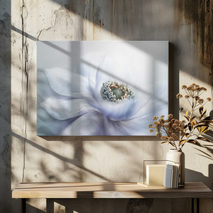 Delicate White Bloom - Floral Photographic Stretched Canvas Poster or Fine Art Print