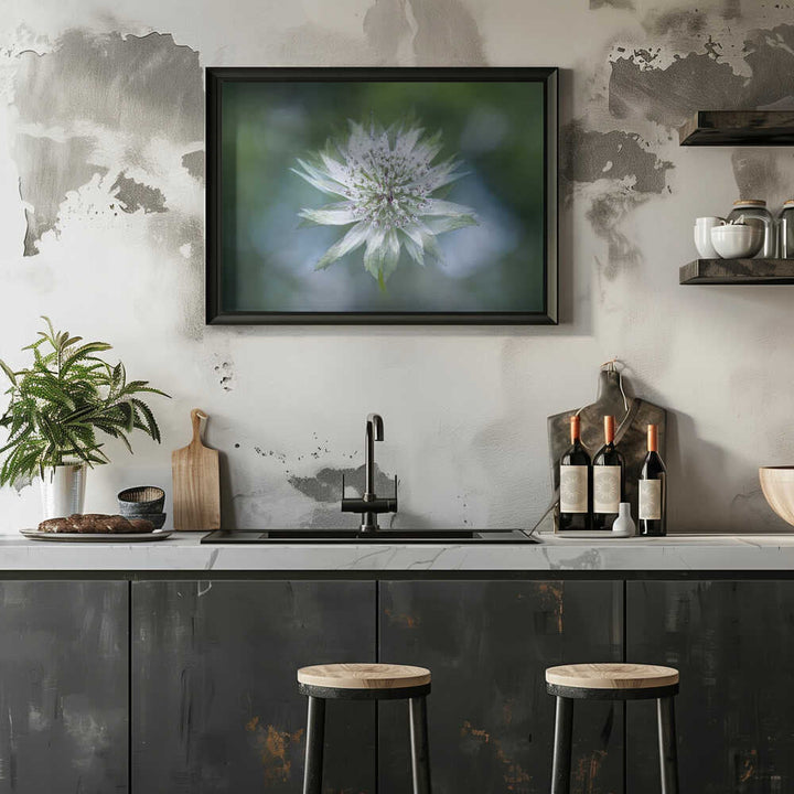 Delicate White Bloom - Floral Photographic Stretched Canvas Poster or Fine Art Print