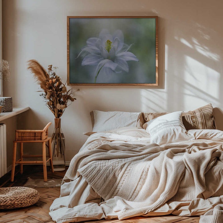 Delicate White Bloom - Stretched Canvas Poster or Fine Art Print