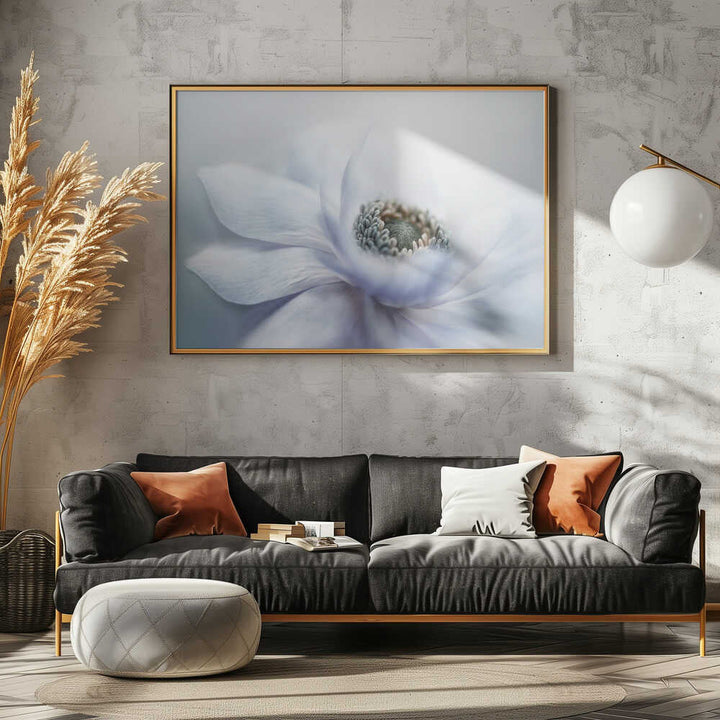 Delicate White Bloom - Floral Photographic Stretched Canvas Poster or Fine Art Print