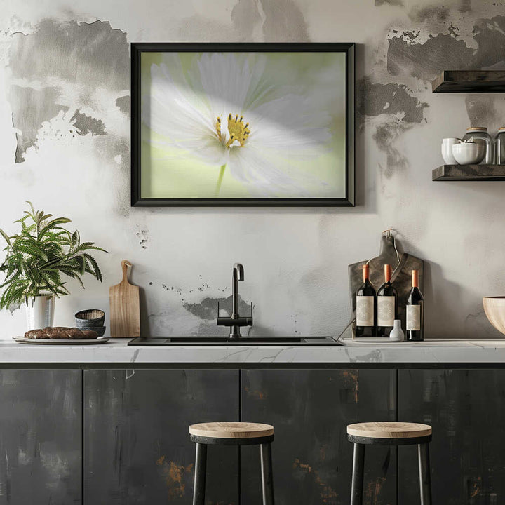 Delicate White Bloom - Floral Photographic Stretched Canvas Poster or Fine Art Print