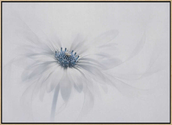 Delicate White Bloom - Stretched Canvas Poster or Fine Art Print