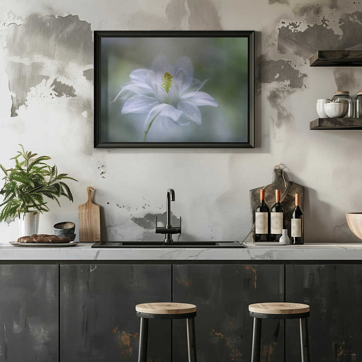 Delicate White Bloom - Stretched Canvas Poster or Fine Art Print