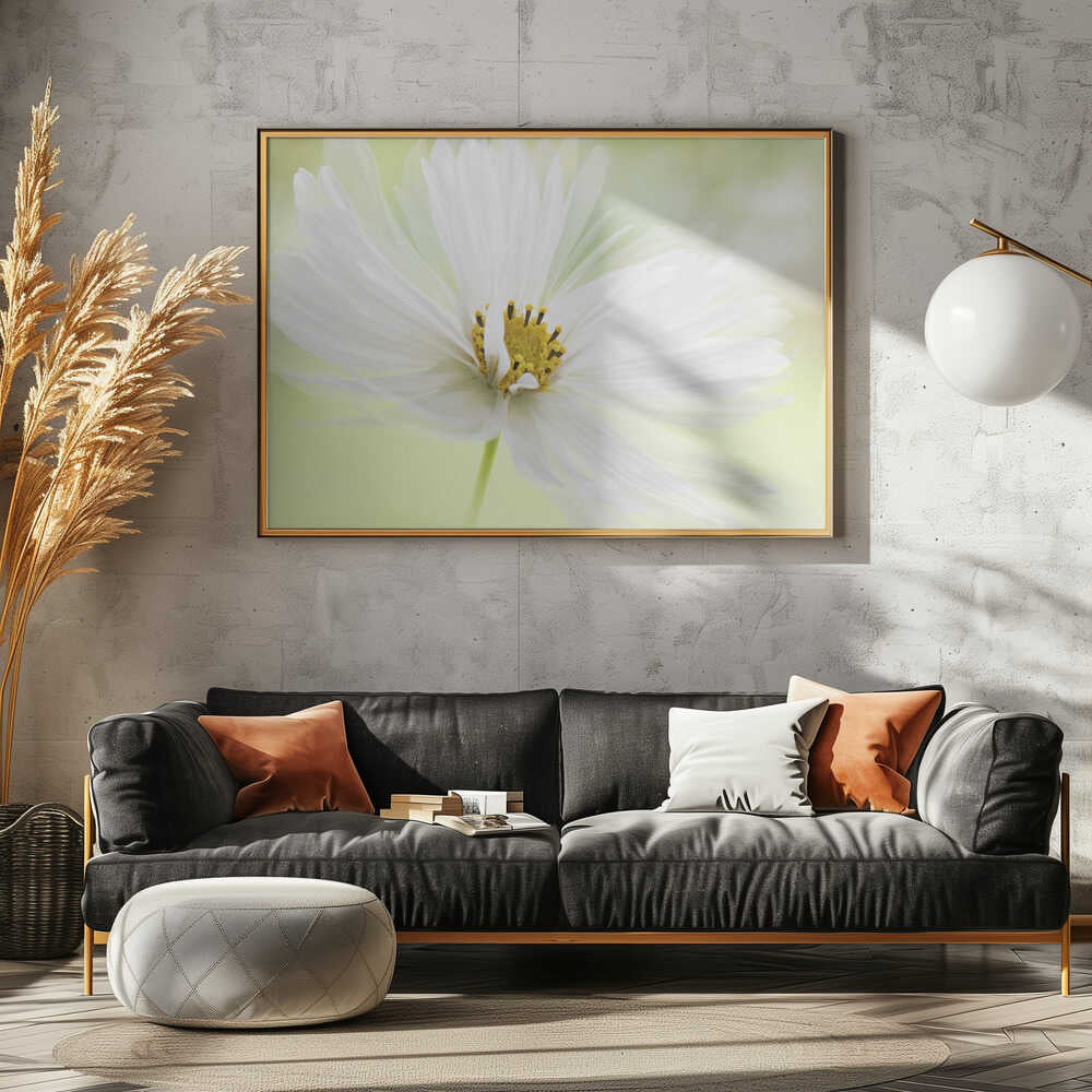 Delicate White Bloom - Floral Photographic Stretched Canvas Poster or Fine Art Print