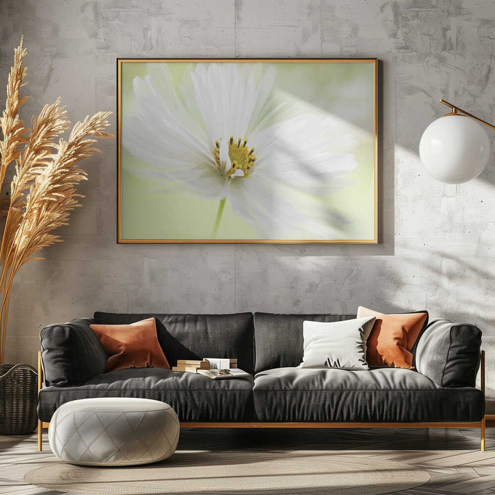 Delicate White Bloom - Floral Photographic Stretched Canvas Poster or Fine Art Print