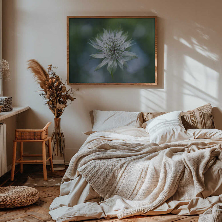 Delicate White Bloom - Floral Photographic Stretched Canvas Poster or Fine Art Print
