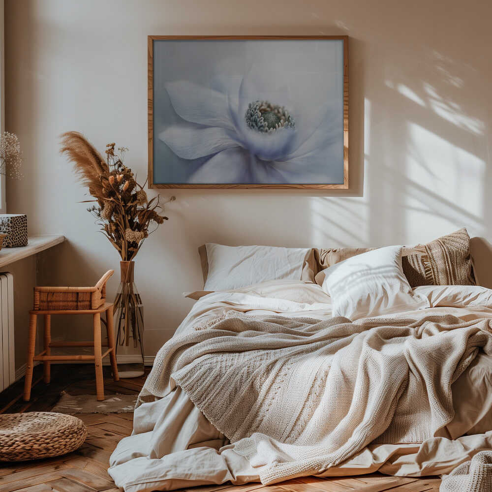 Delicate White Bloom - Floral Photographic Stretched Canvas Poster or Fine Art Print