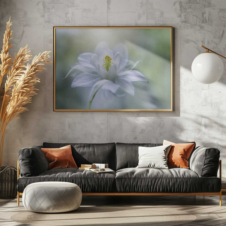 Delicate White Bloom - Stretched Canvas Poster or Fine Art Print
