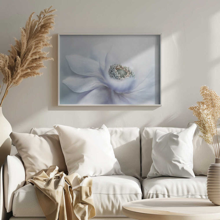 Delicate White Bloom - Floral Photographic Stretched Canvas Poster or Fine Art Print