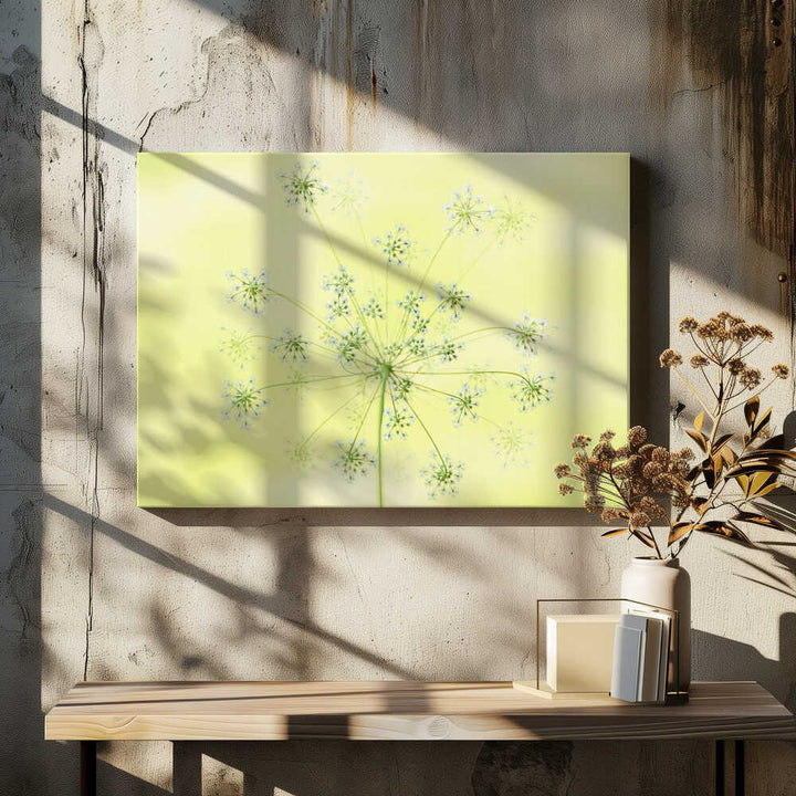 Delicate White Blooms - Floral Photographic Stretched Canvas Poster or Fine Art Print