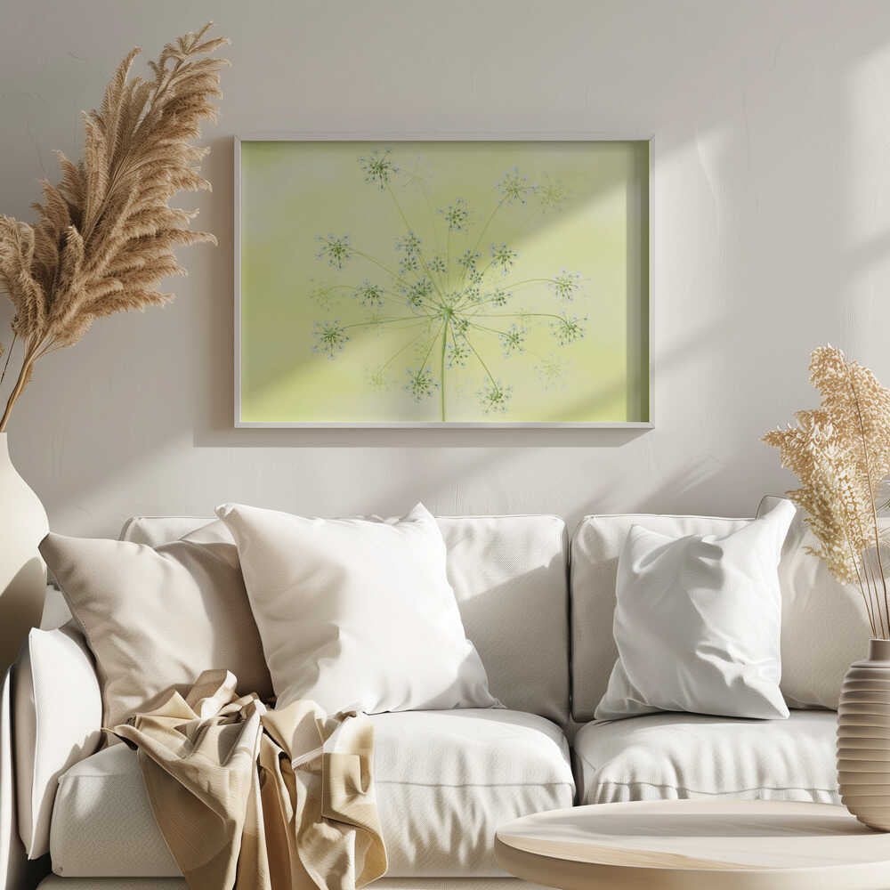 Delicate White Blooms - Floral Photographic Stretched Canvas Poster or Fine Art Print