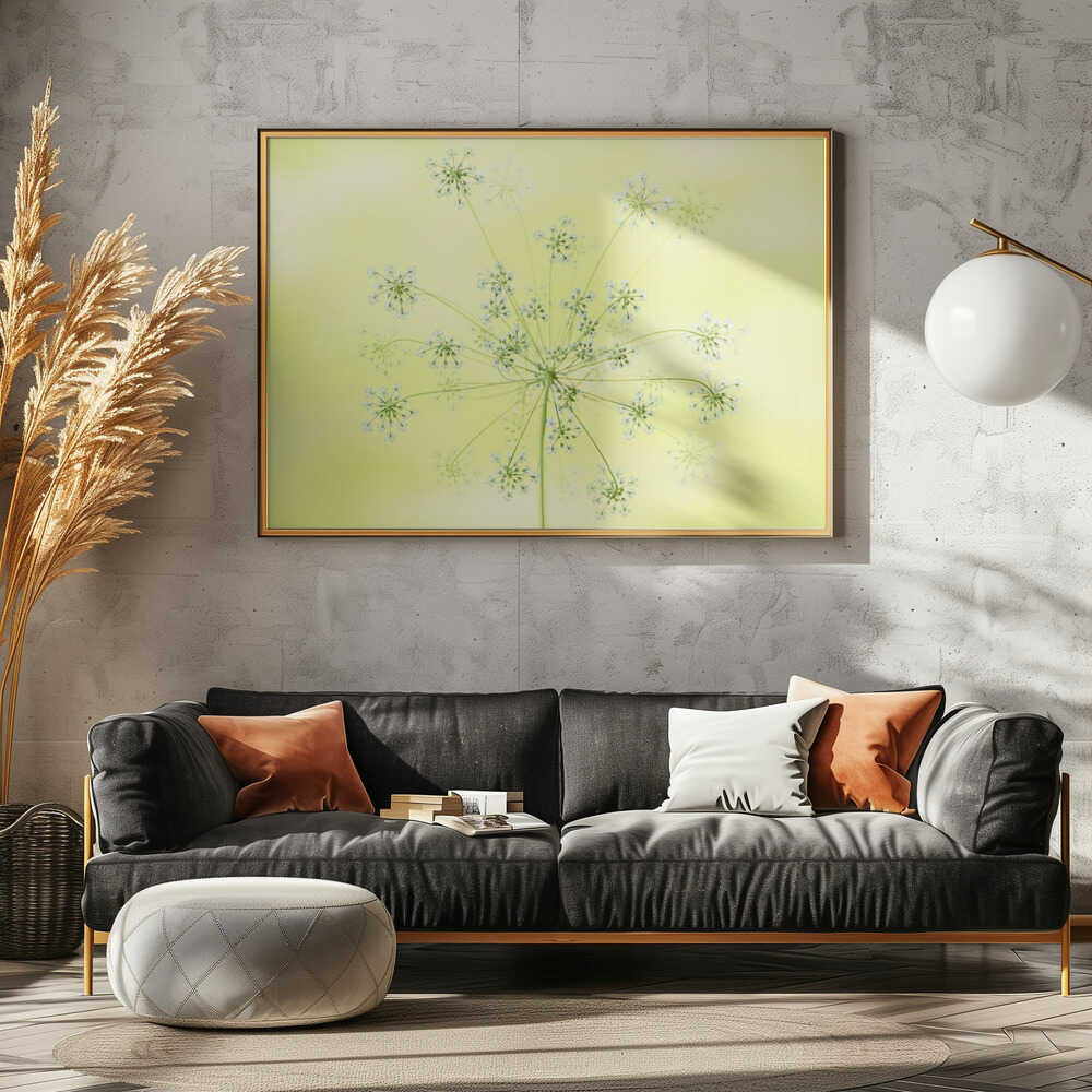 Delicate White Blooms - Floral Photographic Stretched Canvas Poster or Fine Art Print