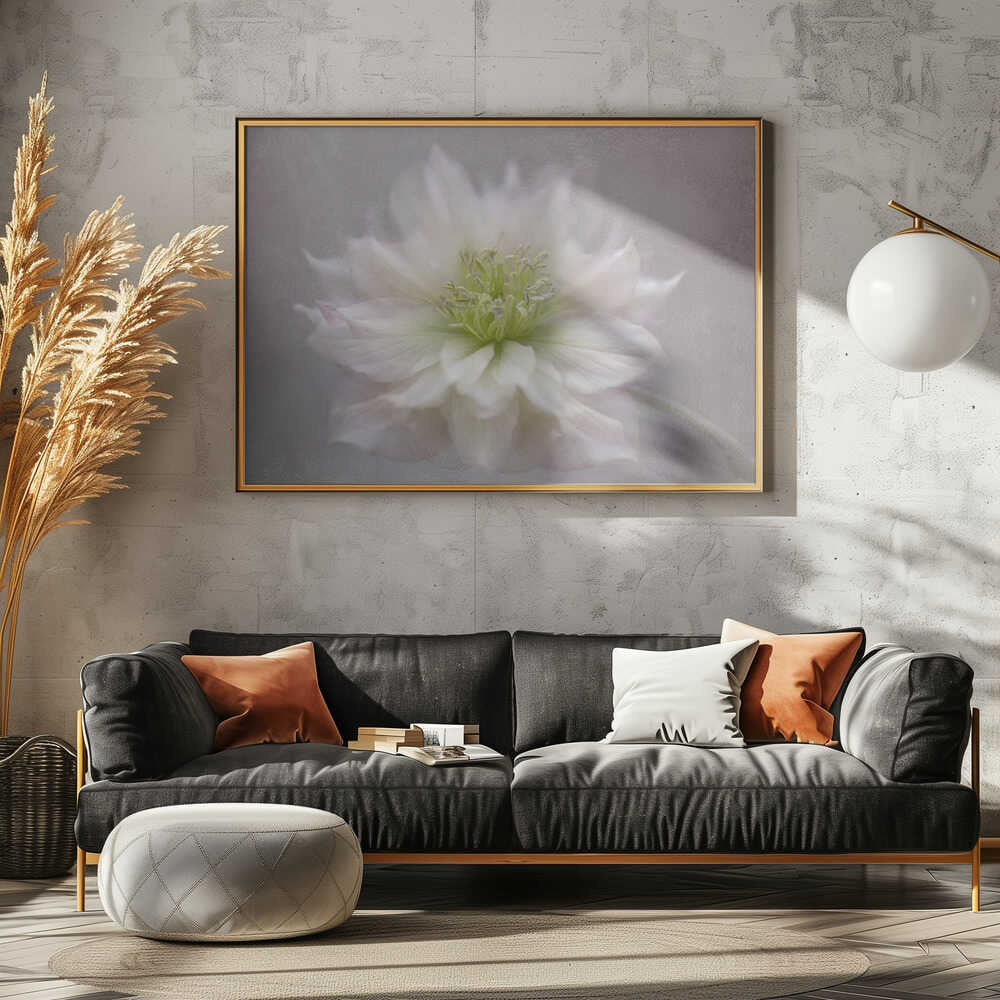Delicate White Blossom - Floral Photographic Stretched Canvas Poster or Fine Art Print