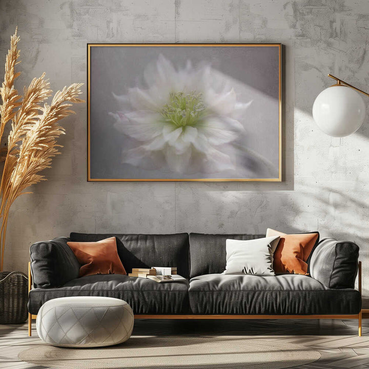 Delicate White Blossom - Floral Photographic Stretched Canvas Poster or Fine Art Print