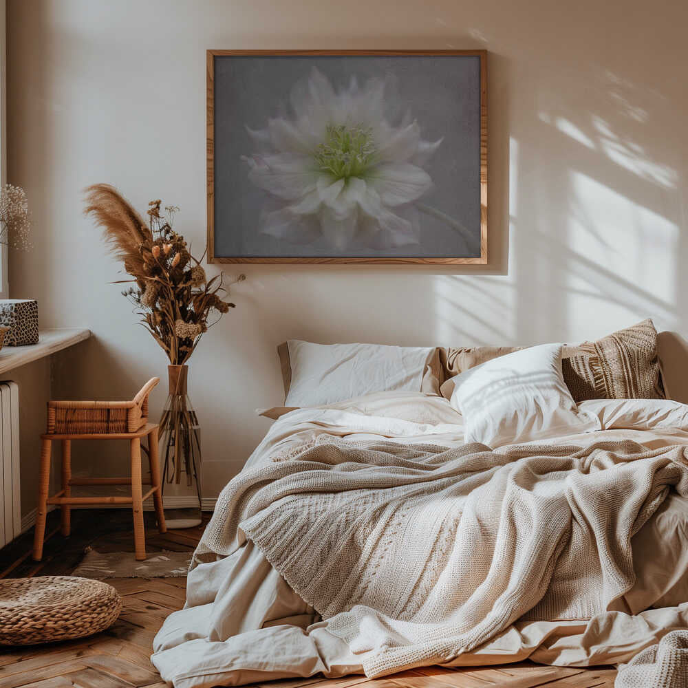 Delicate White Blossom - Floral Photographic Stretched Canvas Poster or Fine Art Print