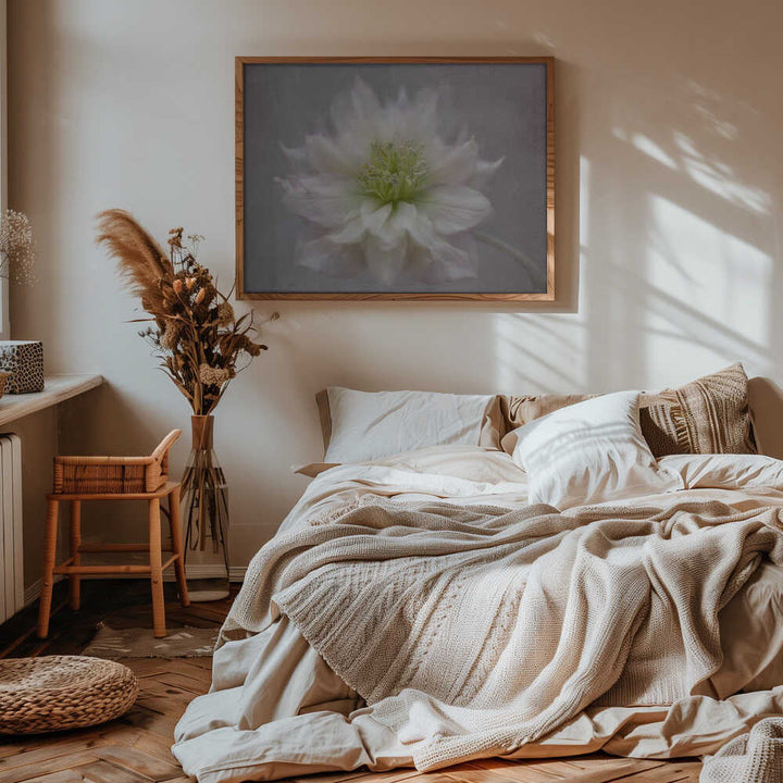 Delicate White Blossom - Floral Photographic Stretched Canvas Poster or Fine Art Print
