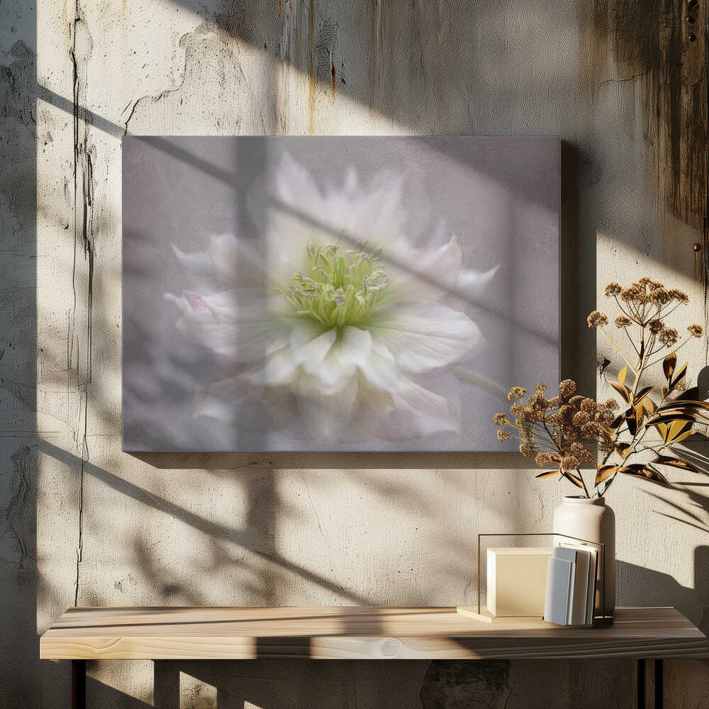 Delicate White Blossom - Floral Photographic Stretched Canvas Poster or Fine Art Print
