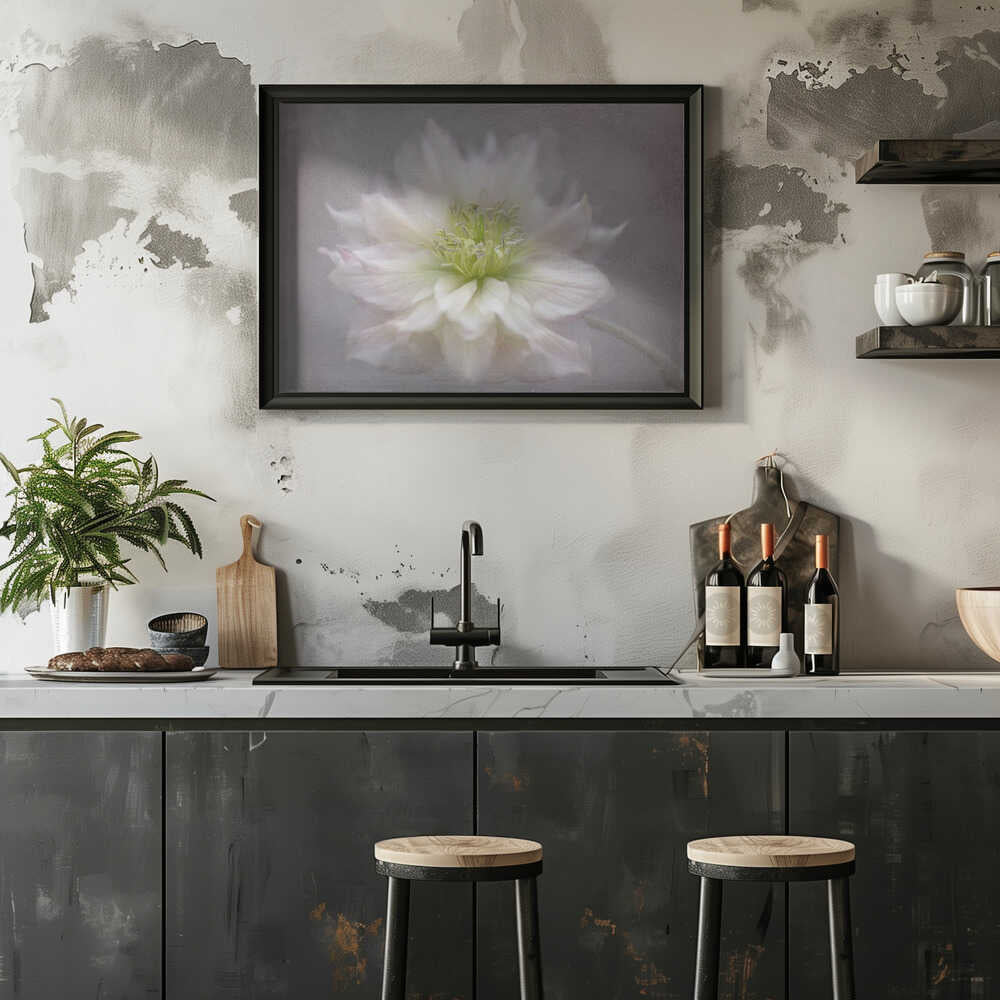 Delicate White Blossom - Floral Photographic Stretched Canvas Poster or Fine Art Print
