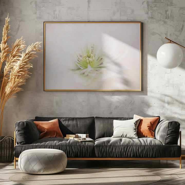 Delicate White Flower - Floral Photographic Stretched Canvas Poster or Fine Art Print