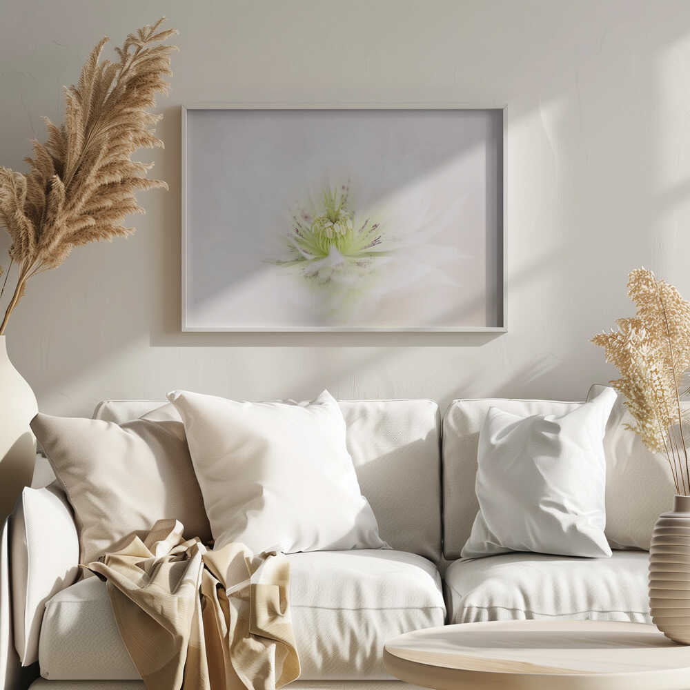 Delicate White Flower - Floral Photographic Stretched Canvas Poster or Fine Art Print