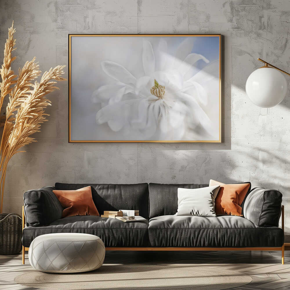 Delicate White Magnolia - Stretched Canvas Poster or Fine Art Print