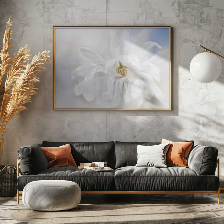 Delicate White Magnolia - Stretched Canvas Poster or Fine Art Print