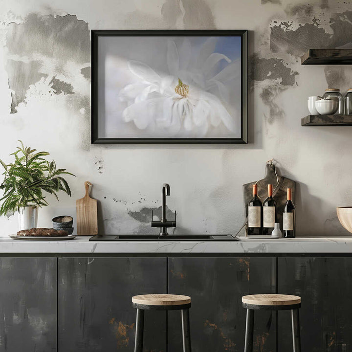 Delicate White Magnolia - Stretched Canvas Poster or Fine Art Print