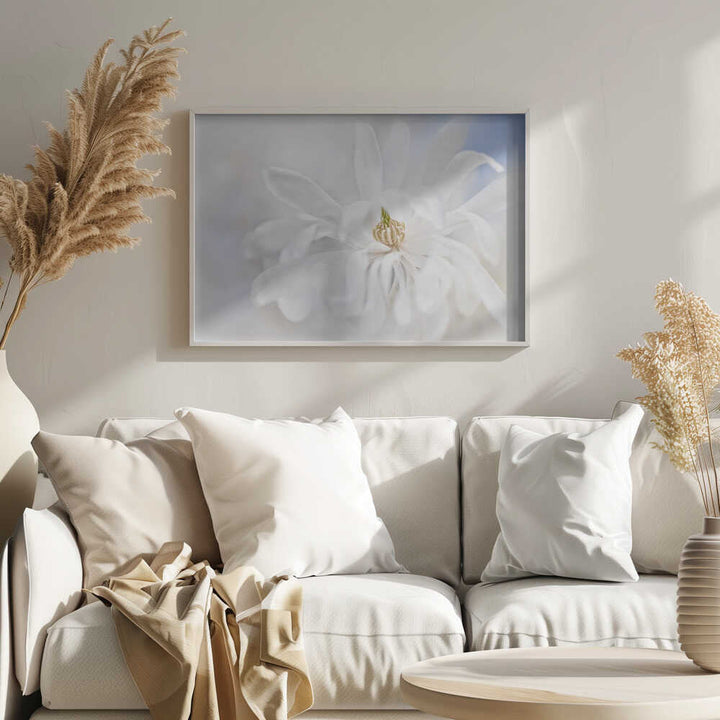 Delicate White Magnolia - Stretched Canvas Poster or Fine Art Print