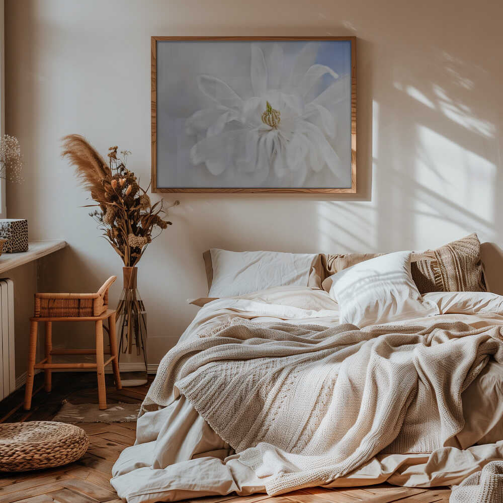 Delicate White Magnolia - Stretched Canvas Poster or Fine Art Print