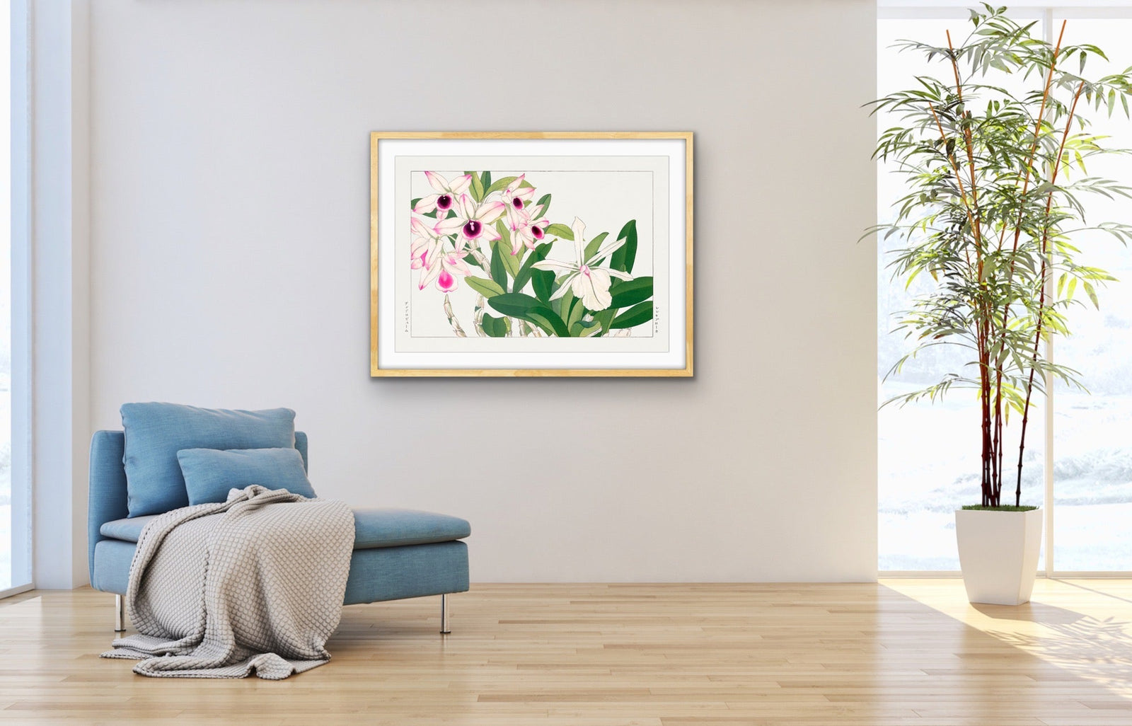 Dendobium Orchid- Vintage Woodblock Painting, Botanical Wall Art, Stretched Canvas Print I Heart Wall Art Australia
