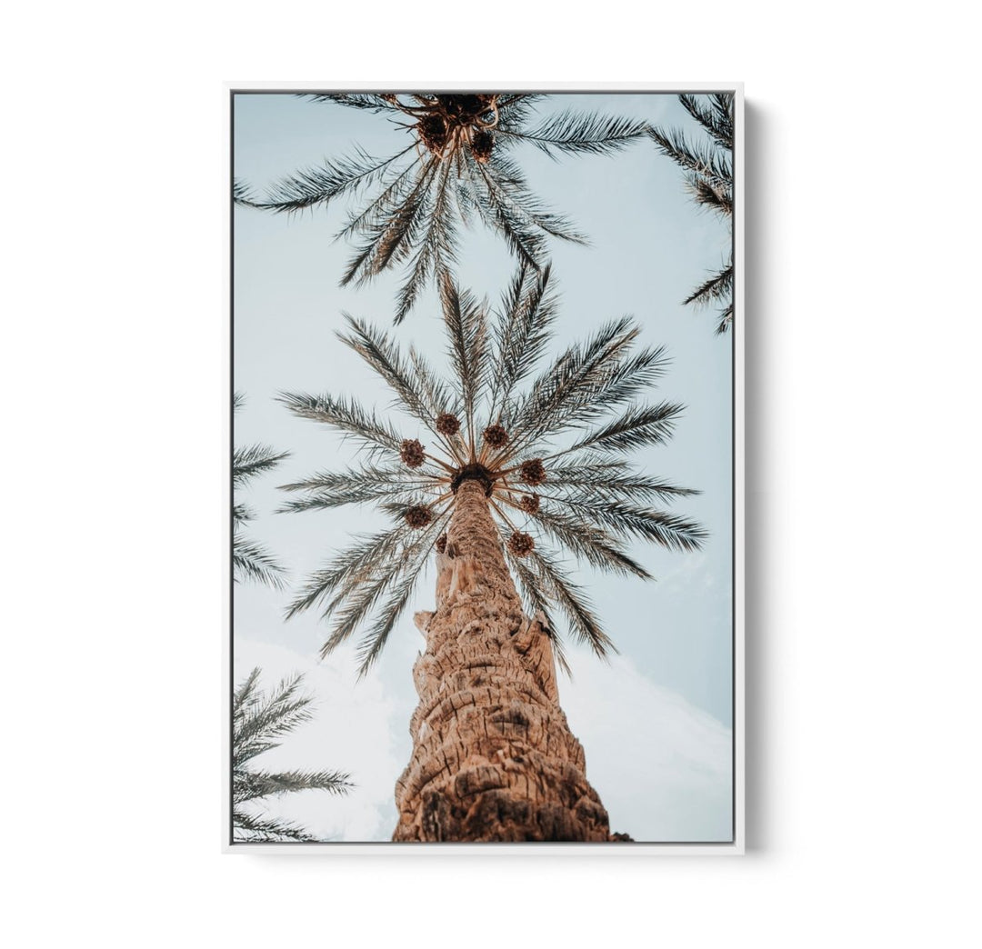 Desert Palms - Coastal Palm Photographic Art / Stretched Canvas Print - I Heart Wall Art - Poster Print, Canvas Print or Framed Art Print