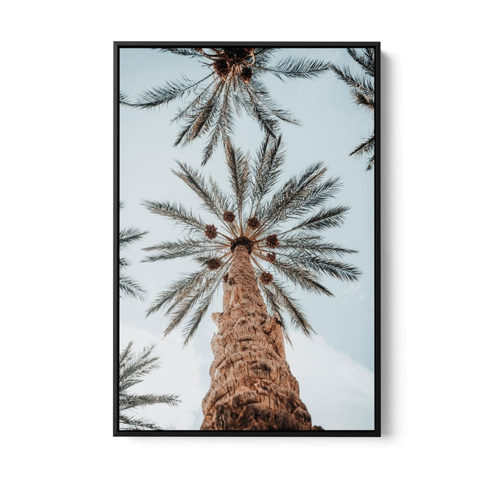 Desert Palms - Coastal Palm Photographic Art / Stretched Canvas Print - I Heart Wall Art - Poster Print, Canvas Print or Framed Art Print