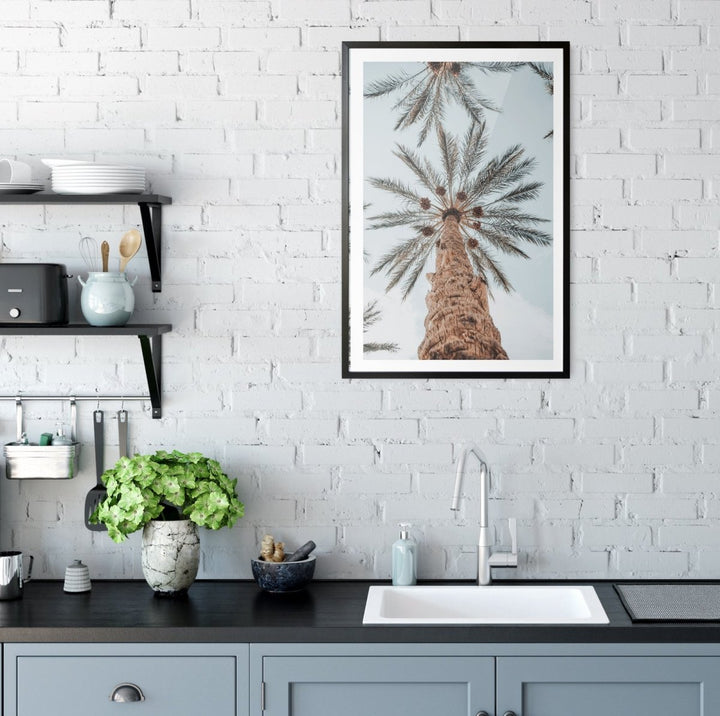 Desert Palms - Coastal Palm Photographic Art / Stretched Canvas Print - I Heart Wall Art - Poster Print, Canvas Print or Framed Art Print