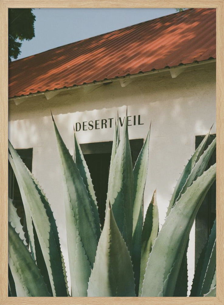 Desert Veil - Stretched Canvas, Poster or Fine Art Print I Heart Wall Art
