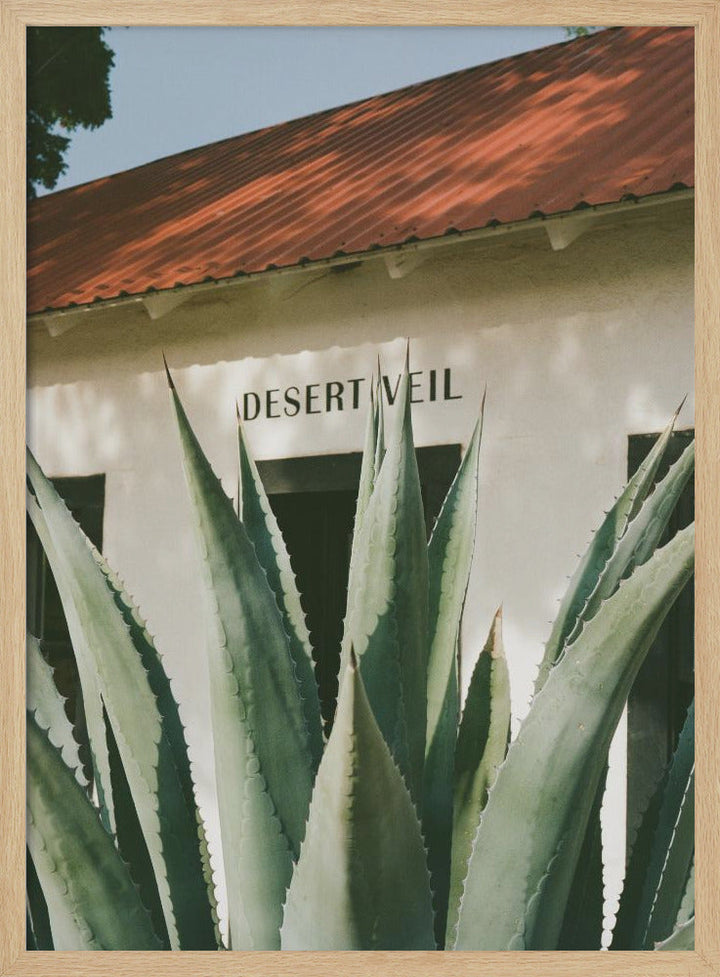 Desert Veil - Stretched Canvas, Poster or Fine Art Print I Heart Wall Art