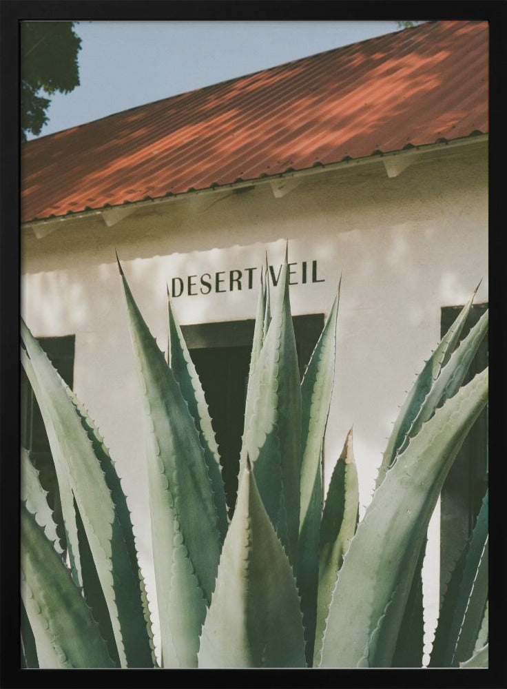 Desert Veil - Stretched Canvas, Poster or Fine Art Print I Heart Wall Art