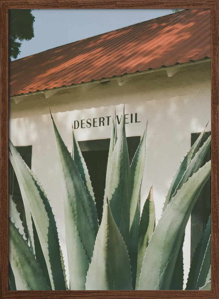 Desert Veil - Stretched Canvas, Poster or Fine Art Print I Heart Wall Art